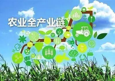 农业全产业链标准化试点陆续启动 农村产业转型升级步伐加快
