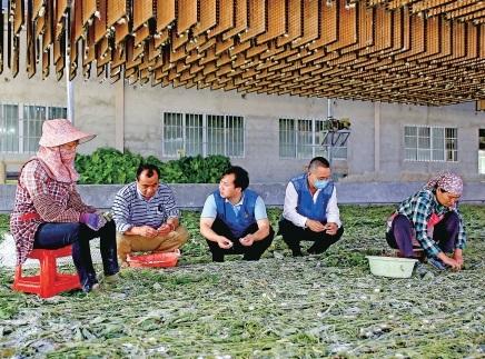 广西蚕桑产业的脱贫富民密码