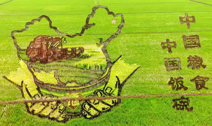 粮食“十八连丰”的中国“密码”