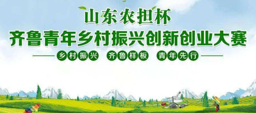 山东：以一场大赛成就一批乡村振兴青年才俊