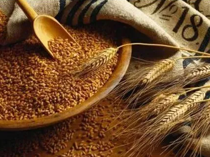 现代粮食产业体系2025年将基本建成