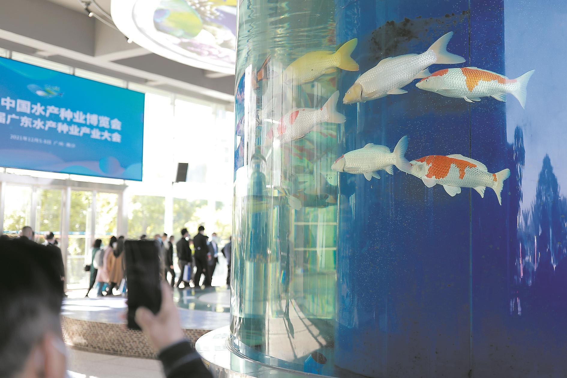 广东水产苗种生产数量居全国第一