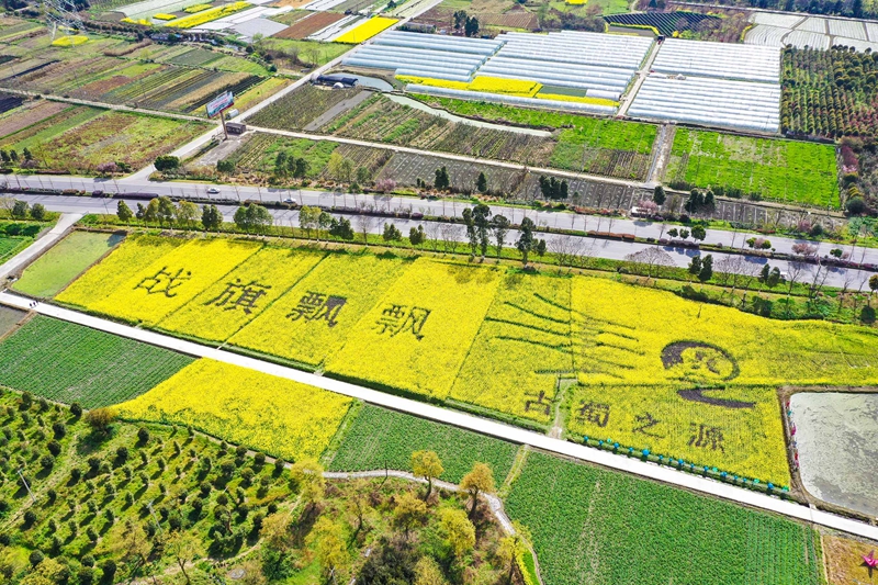 四川郫都区战旗村:发展特色产业 打造乡村振兴样板区