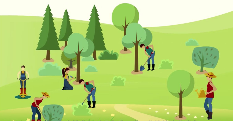 全民义务植树40年 共175亿人次植树超780亿株