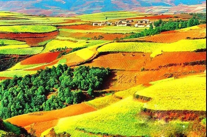 吉林粮食总产量首超八百亿斤