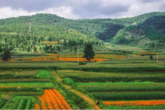 甘肃省探索创新“万企兴万村”乡村振兴模式