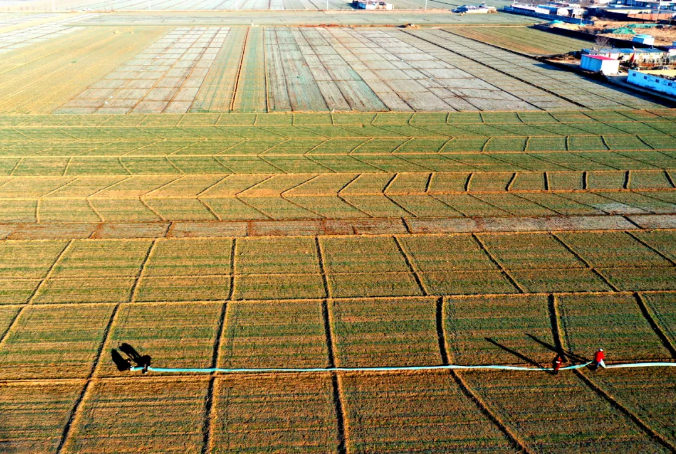 入世20年农业经验值得总结