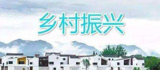 【乡村振兴在青海】