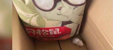 三只松鼠回应快递箱现仓鼠：已提供退款或补发解决方案