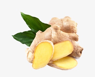 种植面积较去年增长约3成 专家分析明年生姜均价将创近五年新低