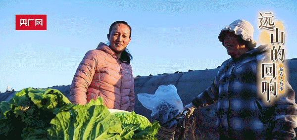 远山的回响｜清华女博士后回村务农：你想要的，土地都能给你