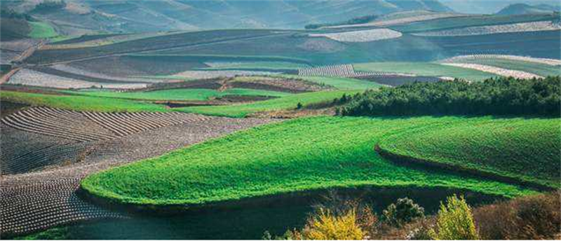 各地各部门各单位深入推进"我为群众办实事"