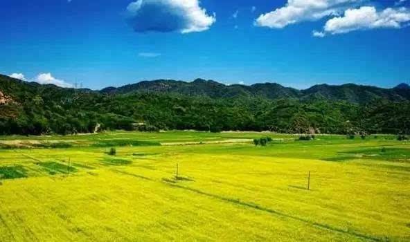 农业农村部:全国“一村一品”主导产业产值超过7000亿元