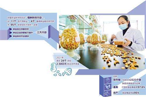 聚力创新攻关、保护种质资源 种业振兴开局稳