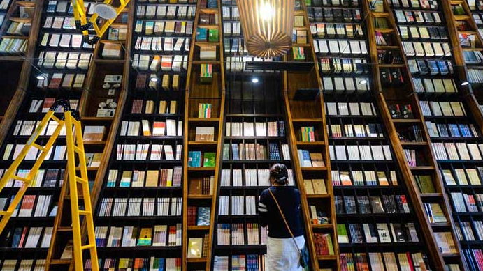 文学的力量与风流