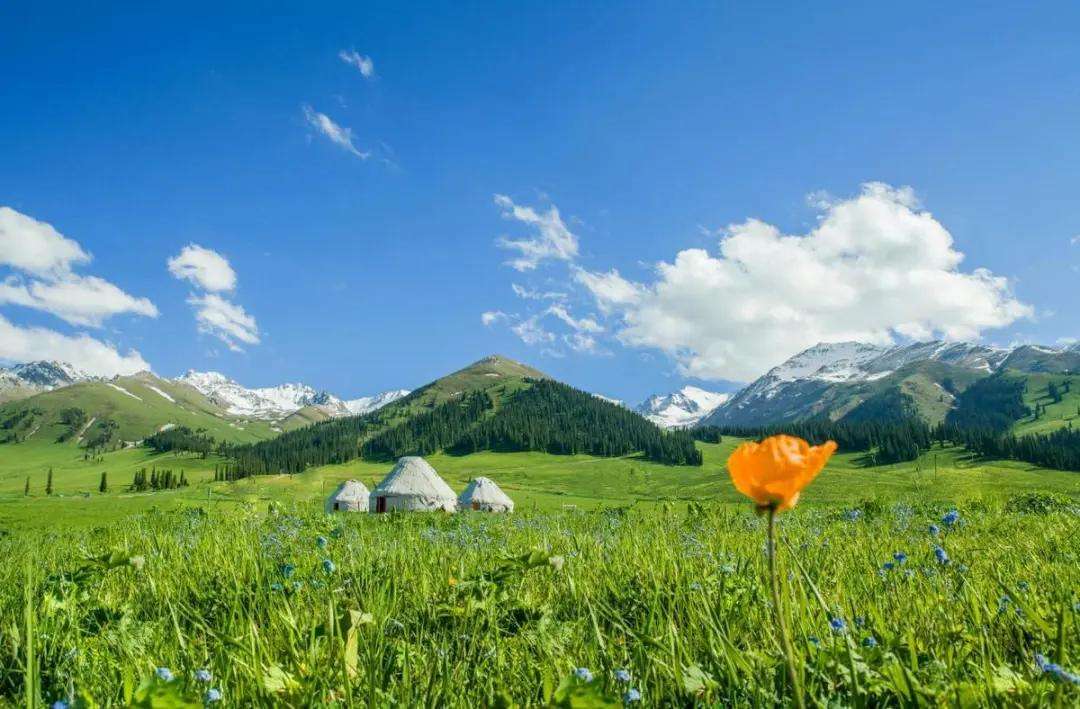 新疆2021:坦然经风雨,未来更可期