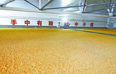大国粮仓根基稳 农业农村气象新