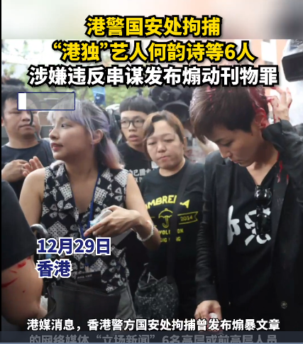 “港独”艺人何韵诗被香港欧文拘捕