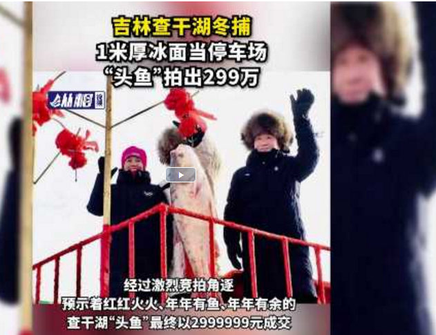 吉林查干湖冬捕“头鱼”拍出299万