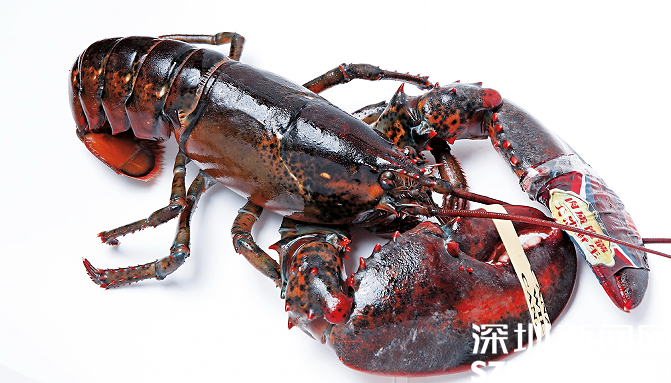 新线索！美国龙虾冷链出口或为新冠早期传播路径