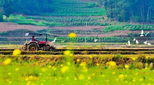 山东将打造30个乡村振兴示范民族乡村