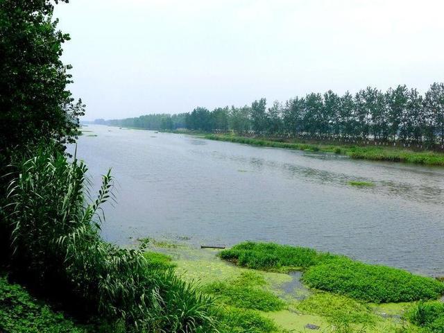 东海县张湾乡：三大举措提升水质