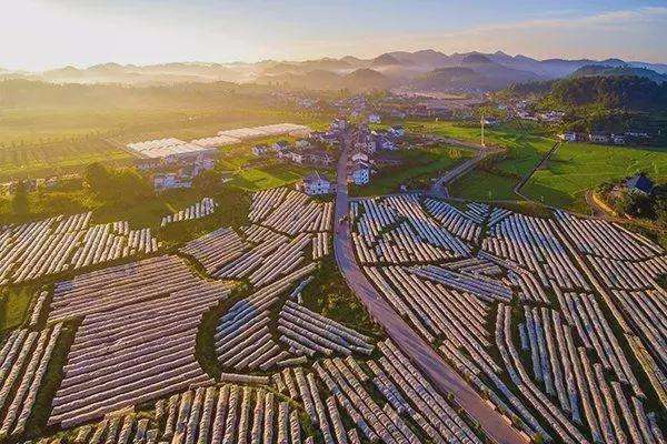 农业向新 乡村提质