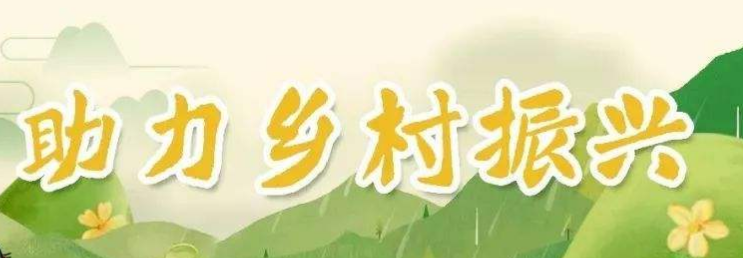 助力乡村优化公共服