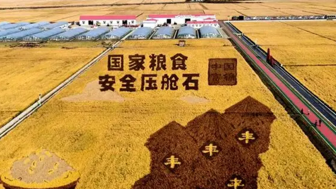 福建:守住粮食安全“压舱石”