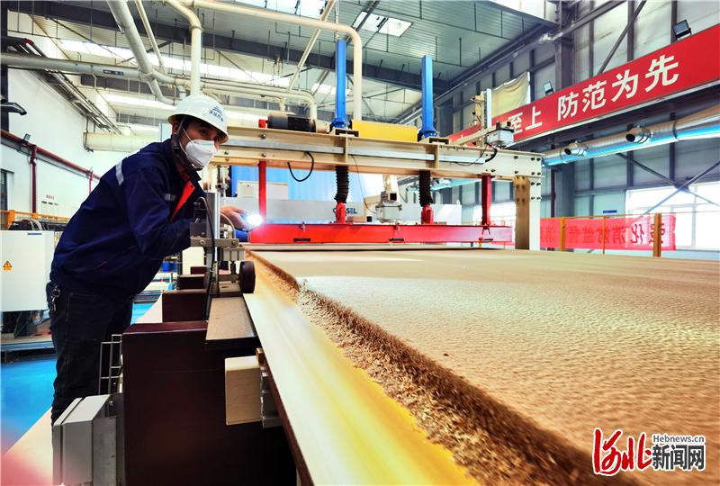 曹妃甸片区：拓宽绿色通道 项目加速奔跑