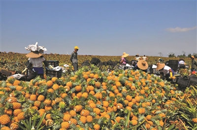 2021年广东涉农贷款余额近1.7万亿元