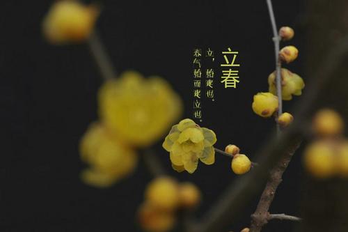 二十四节气：古诗词里的“时间美”