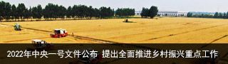 2022年中央一号文件公布 提出全面推进乡村振兴重点工作