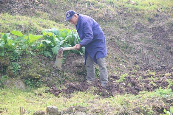 一名老人正在挖地备春播。通讯员 李达元 摄