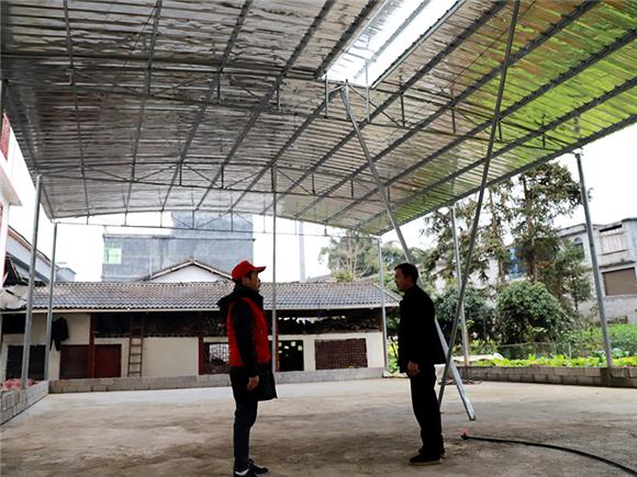 查看新建的养蚕大棚。通讯员 段利明 摄 查看新建的养蚕大棚。通讯员 段利明 摄