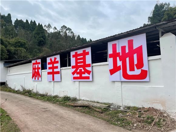 麻羊基地。通讯员 李拉拉 唐龙海 供图 麻羊基地。通讯员 李拉拉 唐龙海 供图