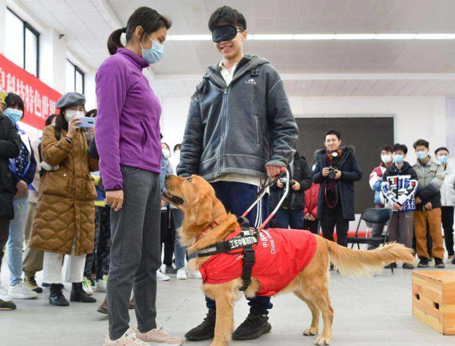 “中国导盲犬”将亮相北京冬残奥会 首次佩戴追溯防伪标识
