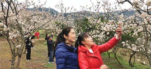 铜梁双山镇：明媚春光迎来赏花客