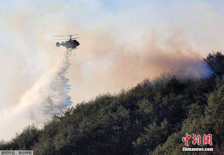 韩国大规模森林大火持续 过火面积相当于2.3万个足球场