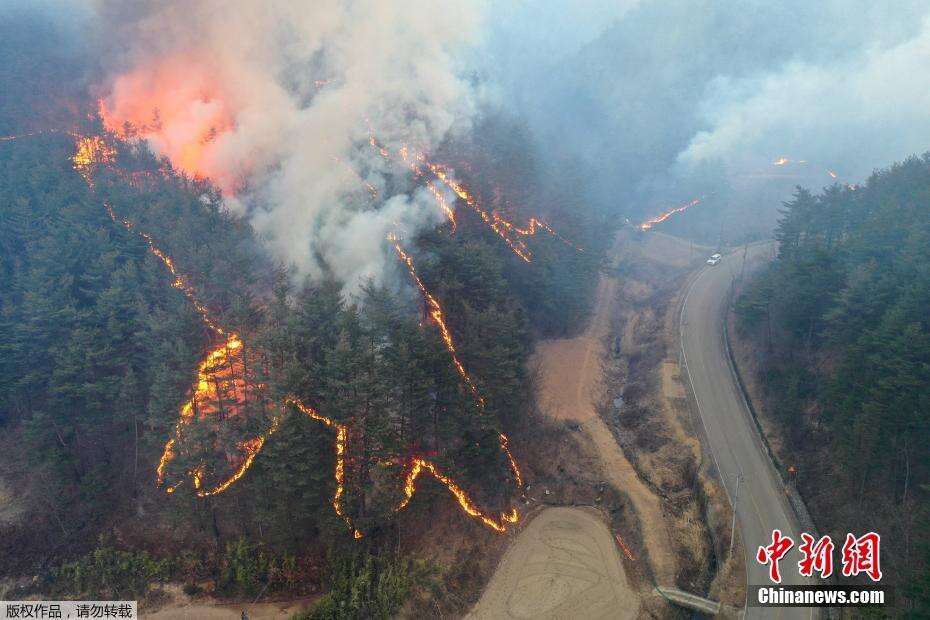 韩国大规模森林大火持续 过火面积相当于2.3万个足球场