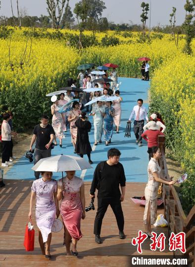 四川一高校老师油菜花海秀旗袍。　天府新区航空旅游职业学院供图