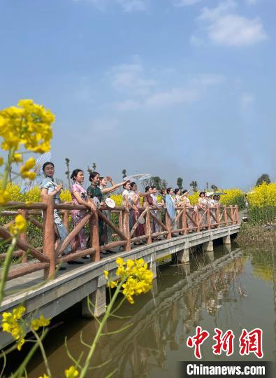 四川一高校老师油菜花海秀旗袍 展现传统中国美