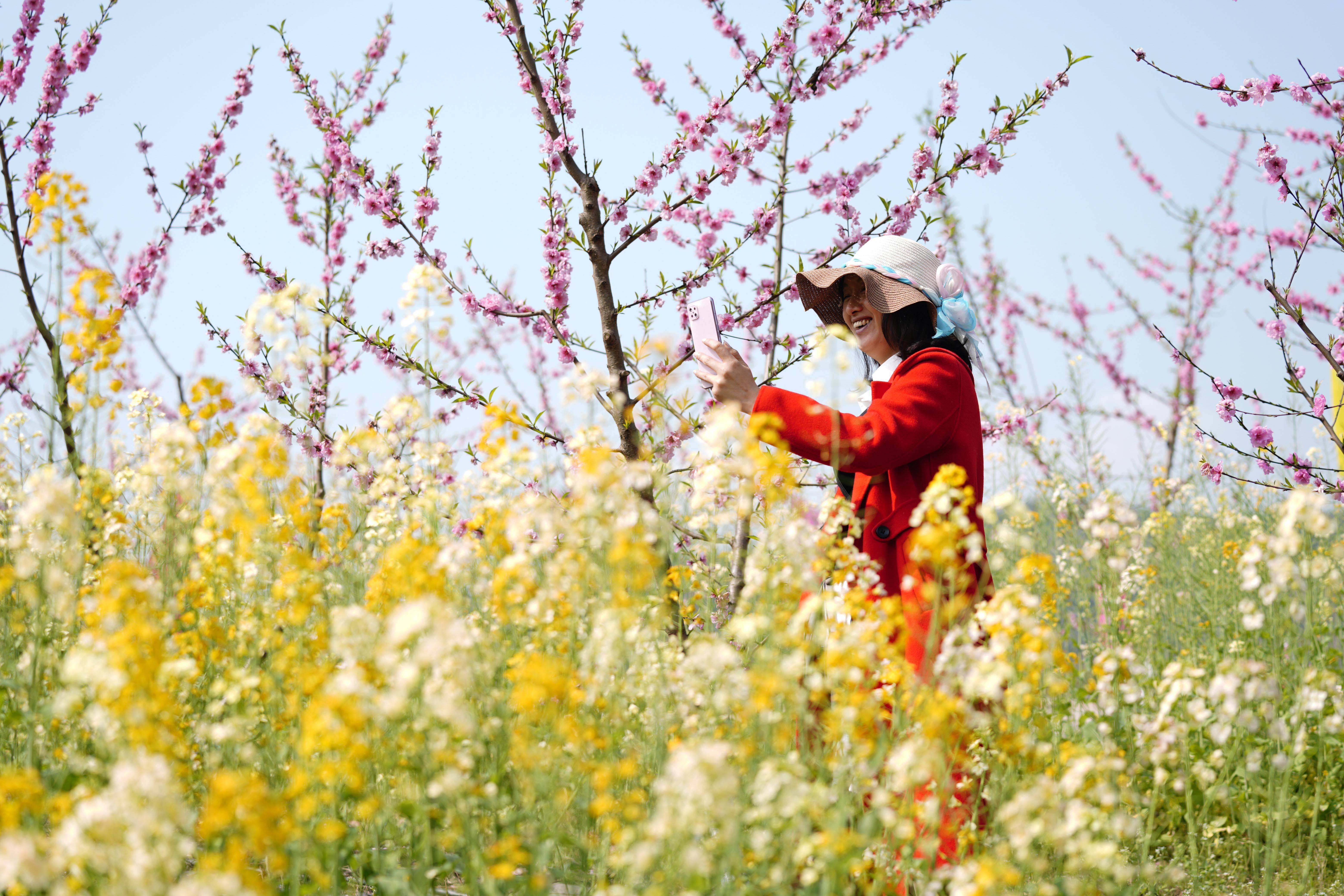 踏青赏花正当时 这份安全提示请查收