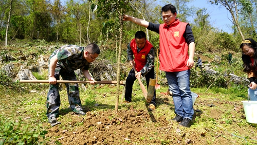 万盛经开区：联合义务植树 为美丽家乡添绿增靓