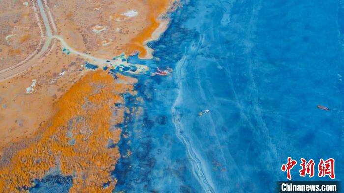 蔚蓝冰面与芦苇、金沙滩交相辉映，强烈的色彩碰撞形成一幅浓墨重彩的的绝美画卷。　王荣曌熙 摄