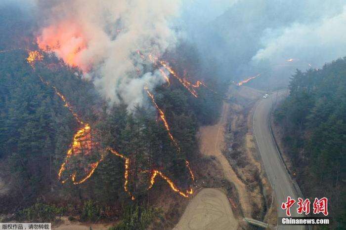 韩山火过火面积相当于3.3万个足球场 打破历史纪录