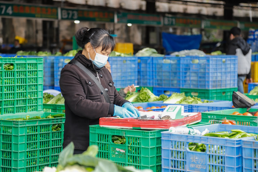 “菜篮子”供应充足价格稳定，深圳海吉星日均来货量达5000吨