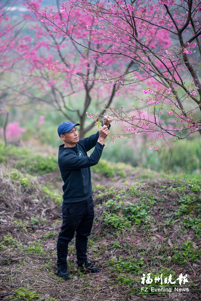 于孙济：十年种春色 荒山披云霞