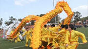 中国龙狮助燃开普敦狂欢节
