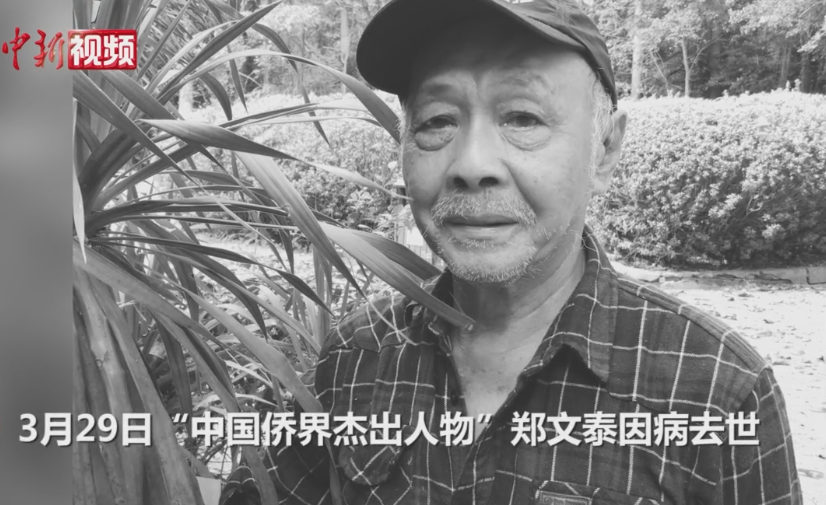 “侨界杰出人物”郑文泰因病去世 曾斥资上亿修复热带雨林
